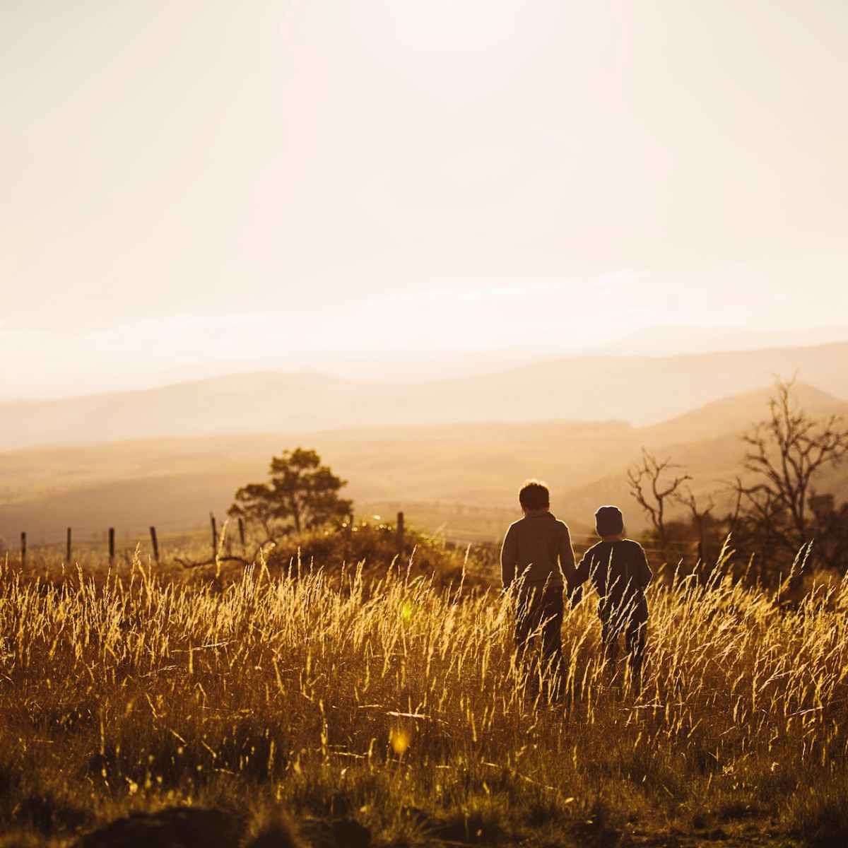 The Brothers’ War Sneak Preview Predictions